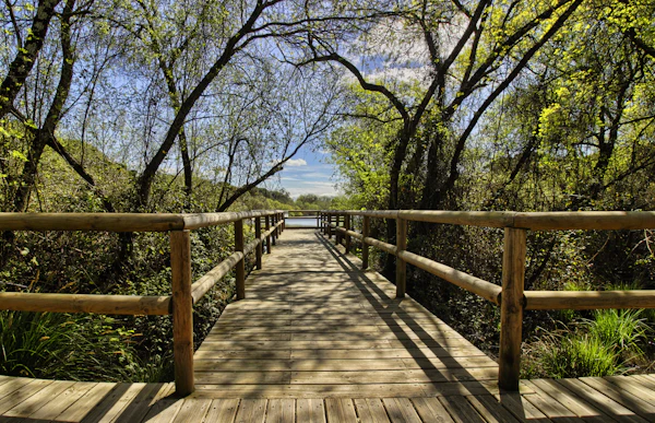 Cordoba dagtocht vanuit Sevilla
