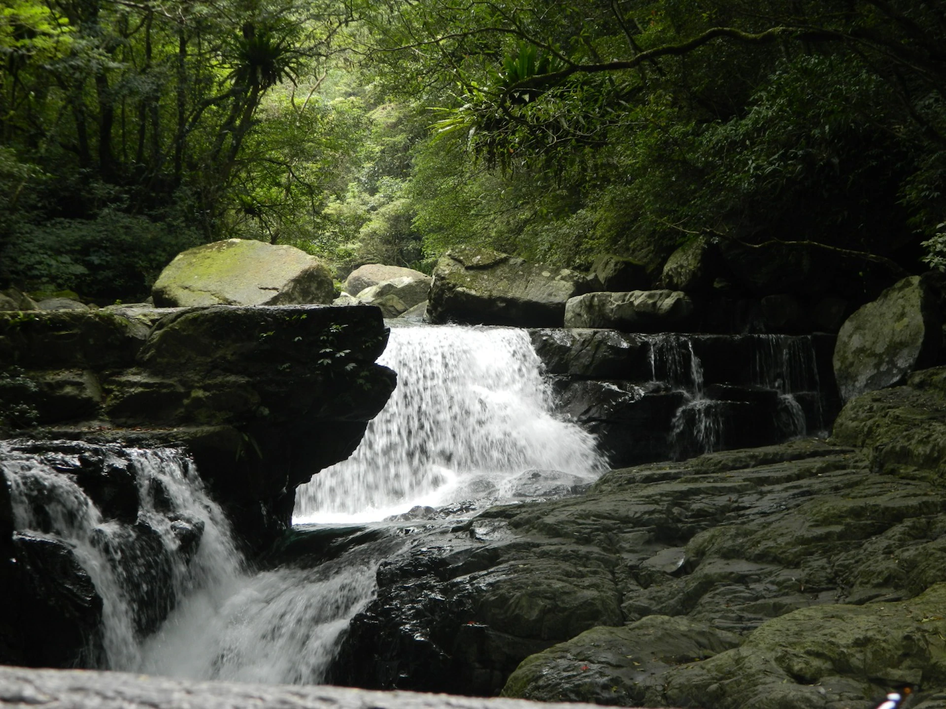 Full Moon National Forest Recreation Area: Full Price Ticket