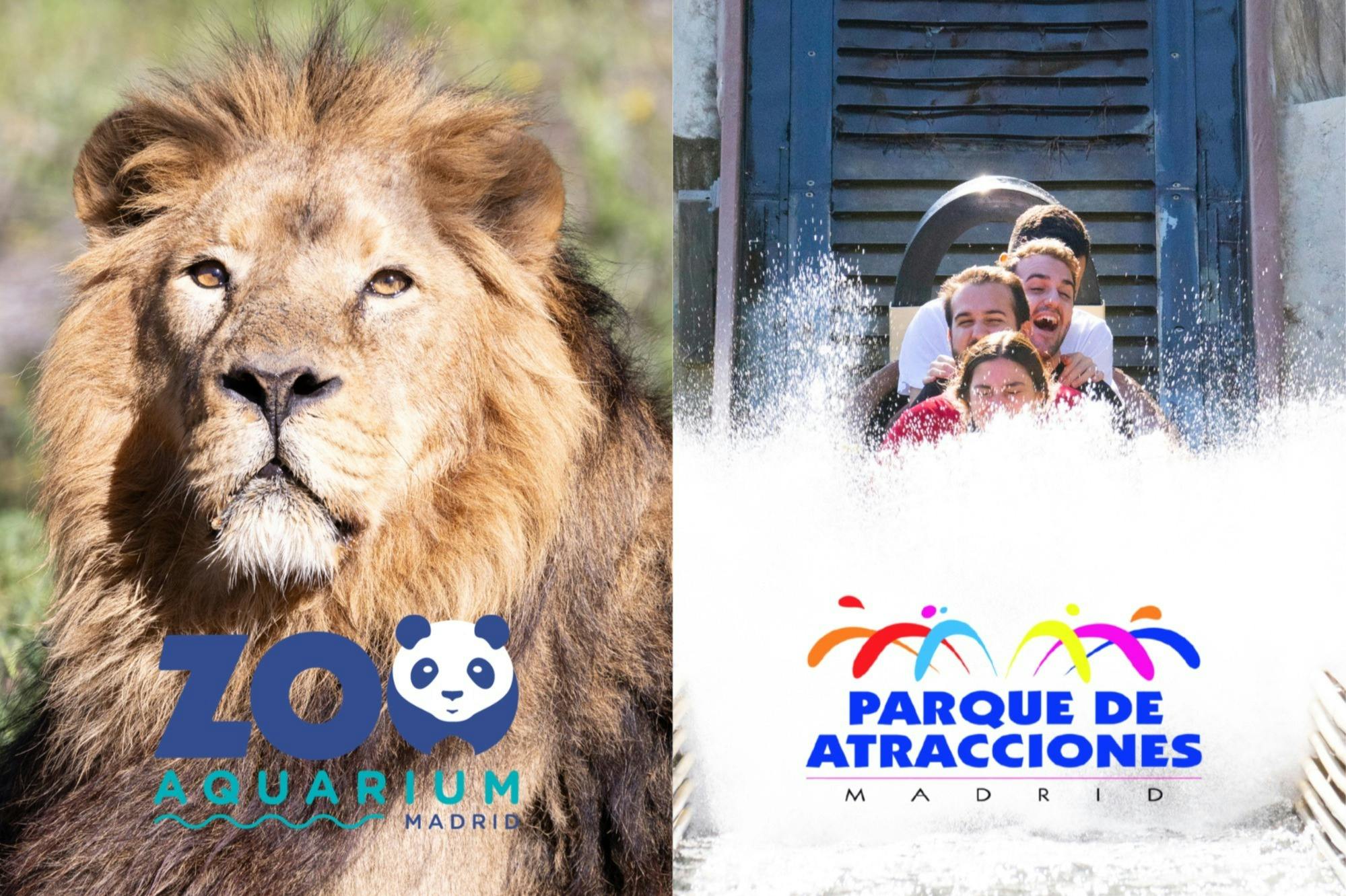 Parque de Atrações de Madrid + Zoo Aquário de Madrid: Bilhete de entrada