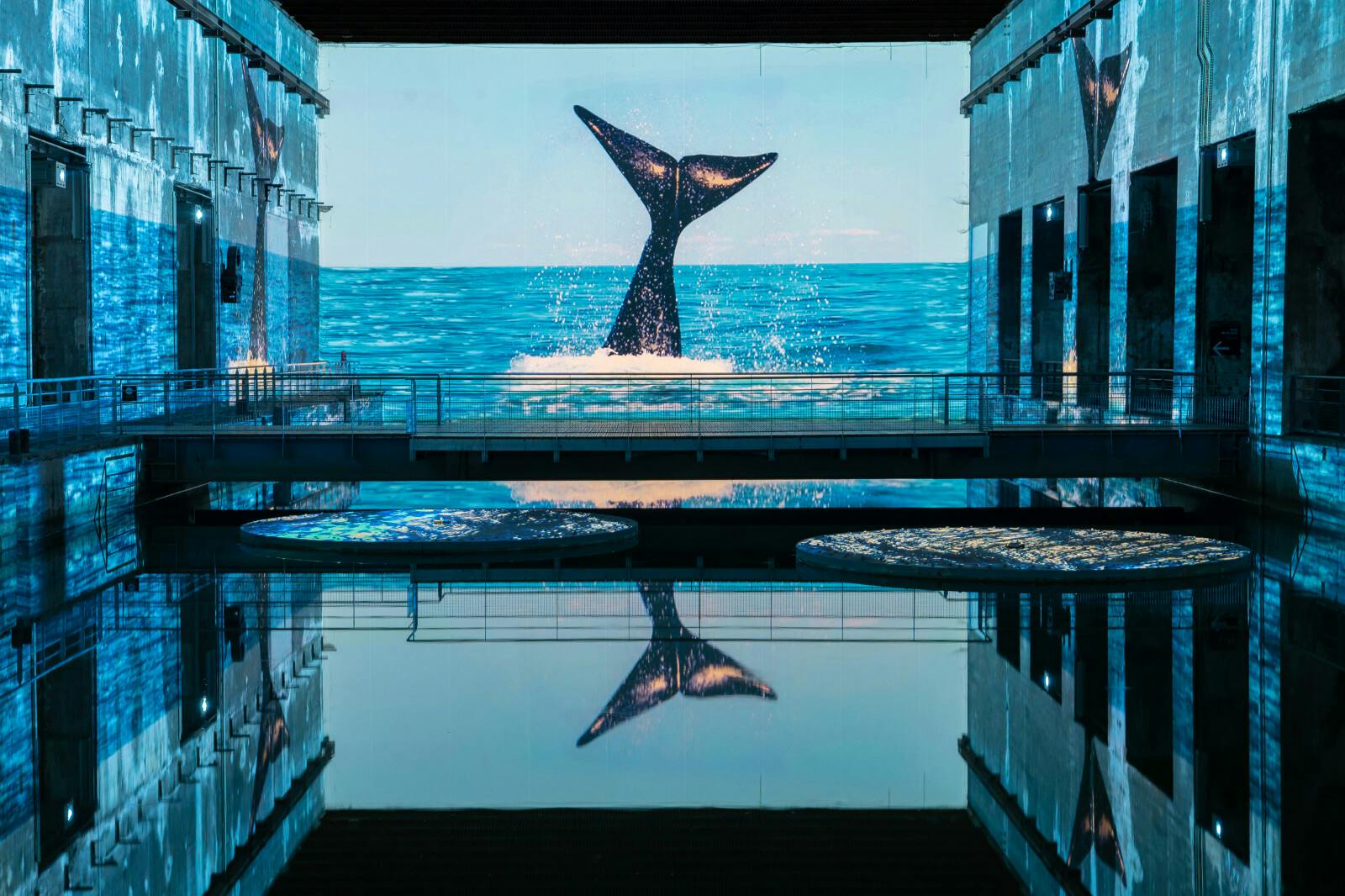 Una pantalla gran mostra una cua de balena esquitxant a l'oceà, reflectida en una zona d'aigua interior tranquil·la amb llums a cada costat.