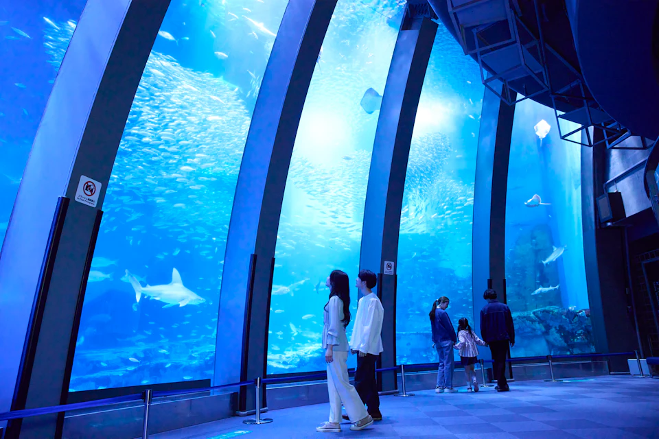 Visitors stand in front of large aquarium windows observing fish and sharks swimming in a blue-lit underwater scene.