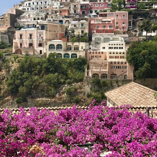 Pompeya + Costa Amalfitana + Positano: Excursión guiada de un día desde Roma Entradas