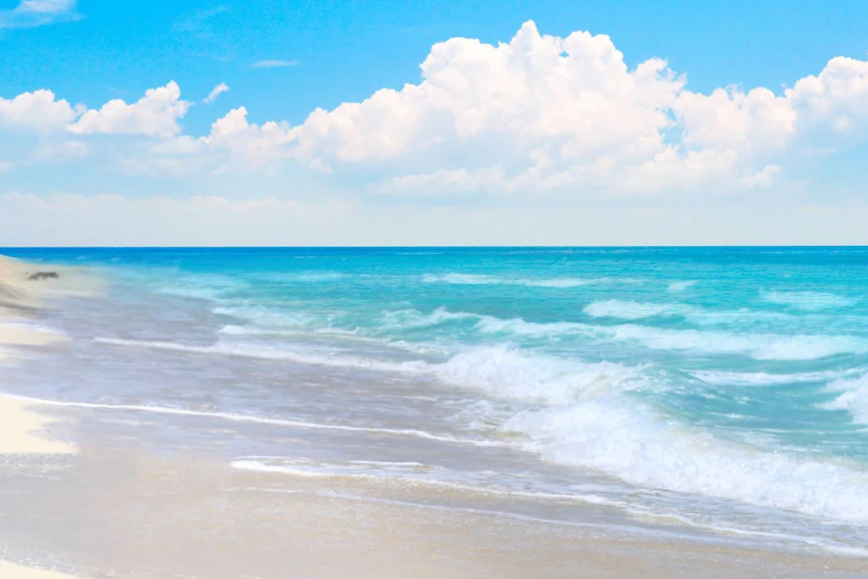 Bimini Beach