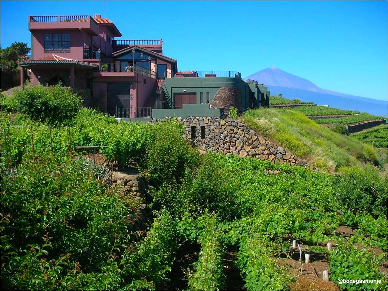 Bodegas Monje: Winery Visit & Wine Tasting - Santa Cruz de Tenerife - 