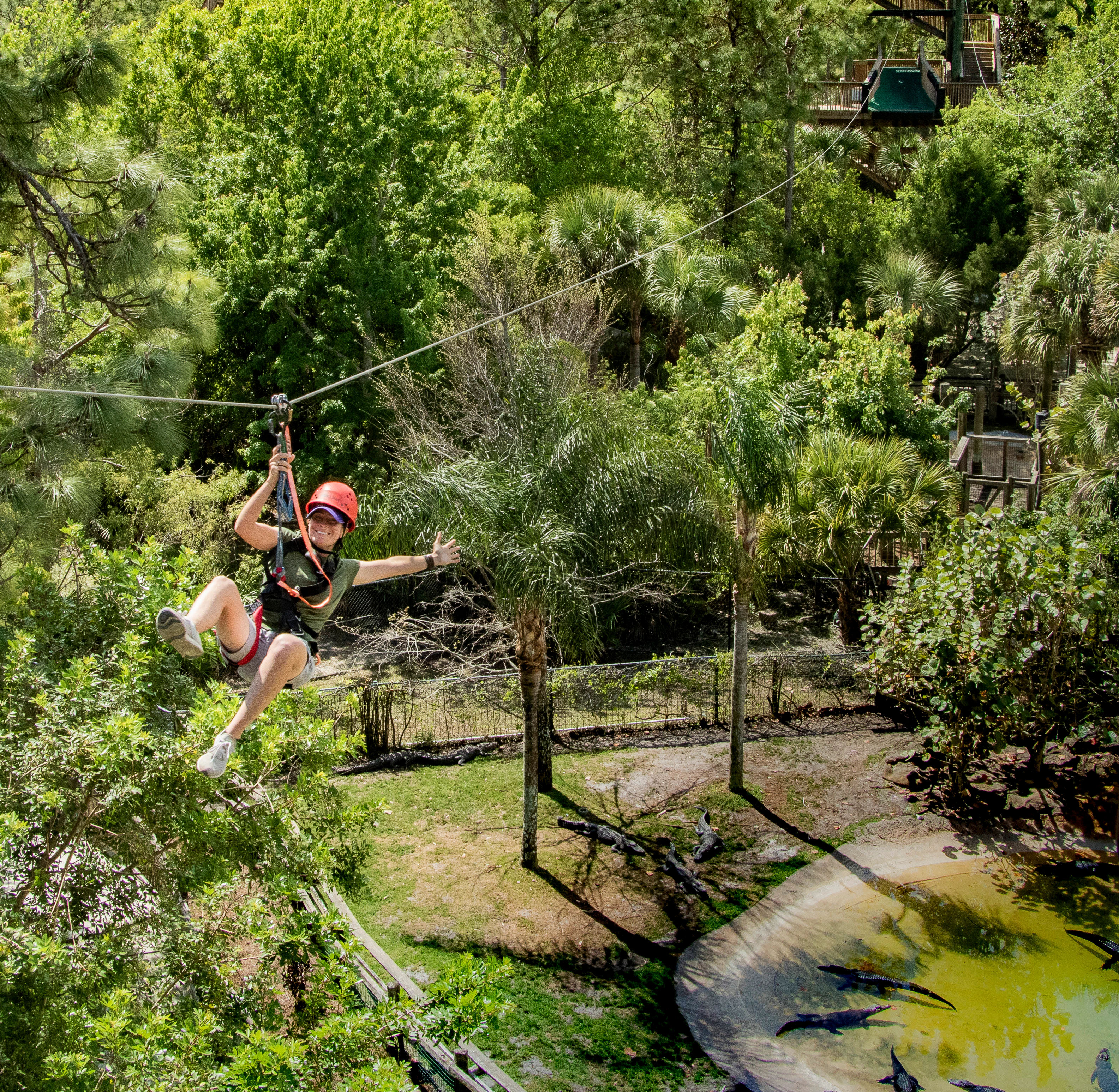 Gatorland Orlando: Screamin' Gator Zip Line