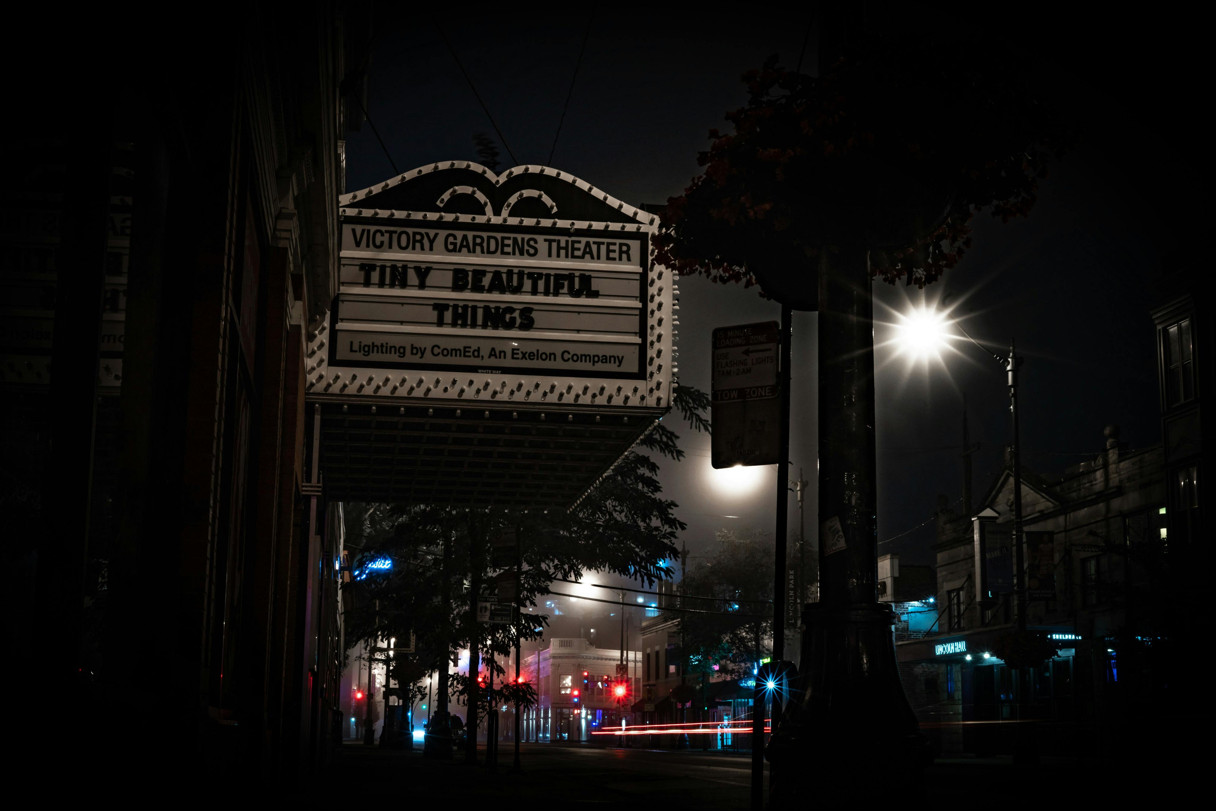 Victory Gardens Theater spooky night photo.