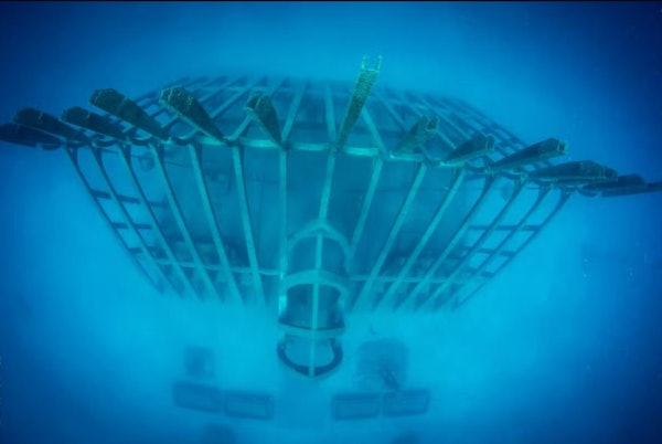 Great Barrier Reef & MOUA: Geführte Schnorchel Tour + Frühstück ...