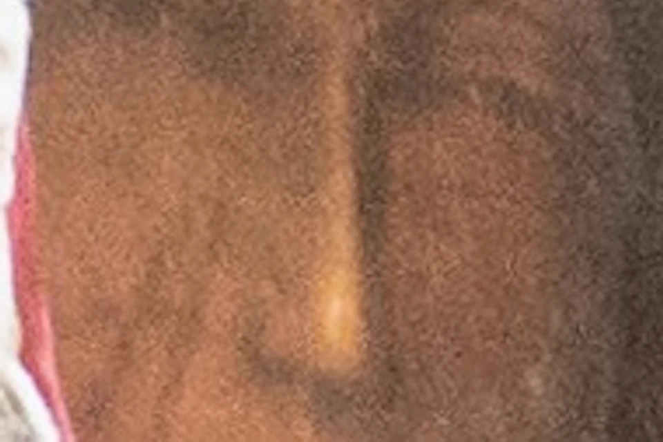 The miraculous image of the Virgin Mary in Czestochowa.