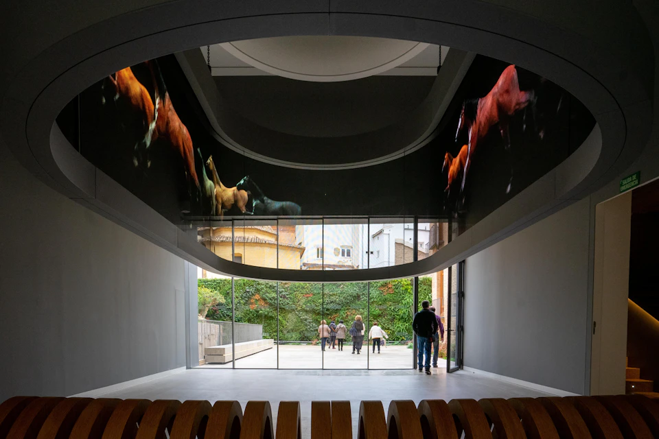 A modern interior gallery with curved screens displaying horse visuals, a glass exit showing a garden and people walking outside.