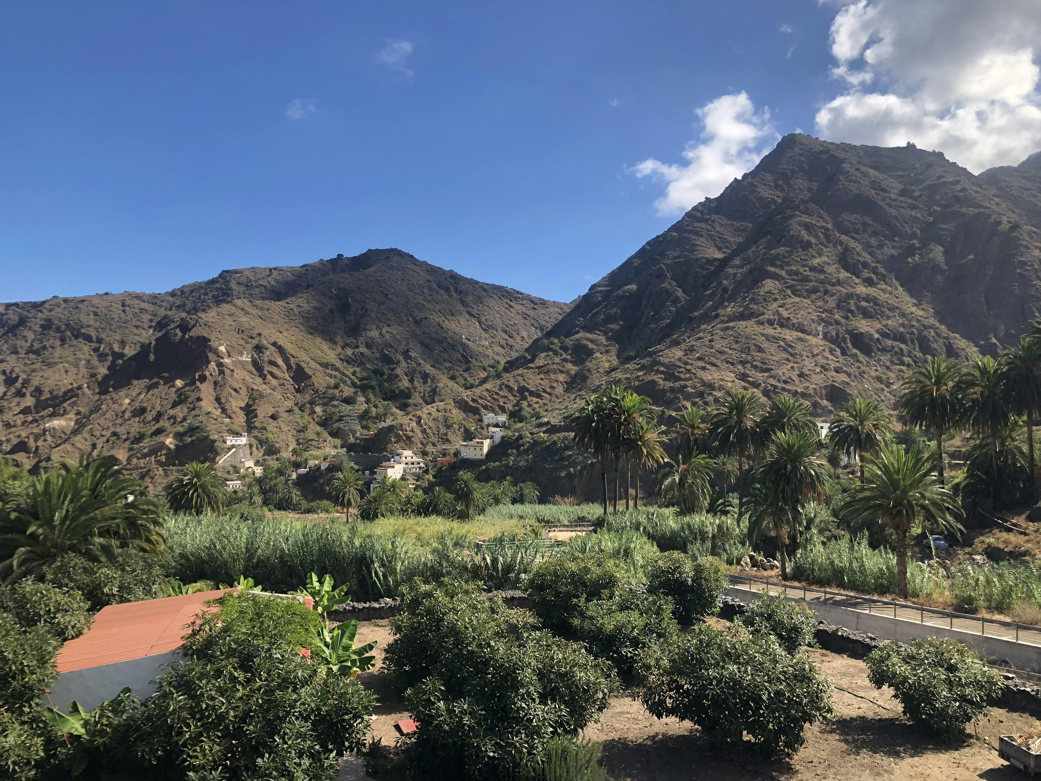 郁郁葱葱的山谷，有棕榈树和小房子，四周环绕着崎岖干燥的山脉，晴朗的蓝天下。