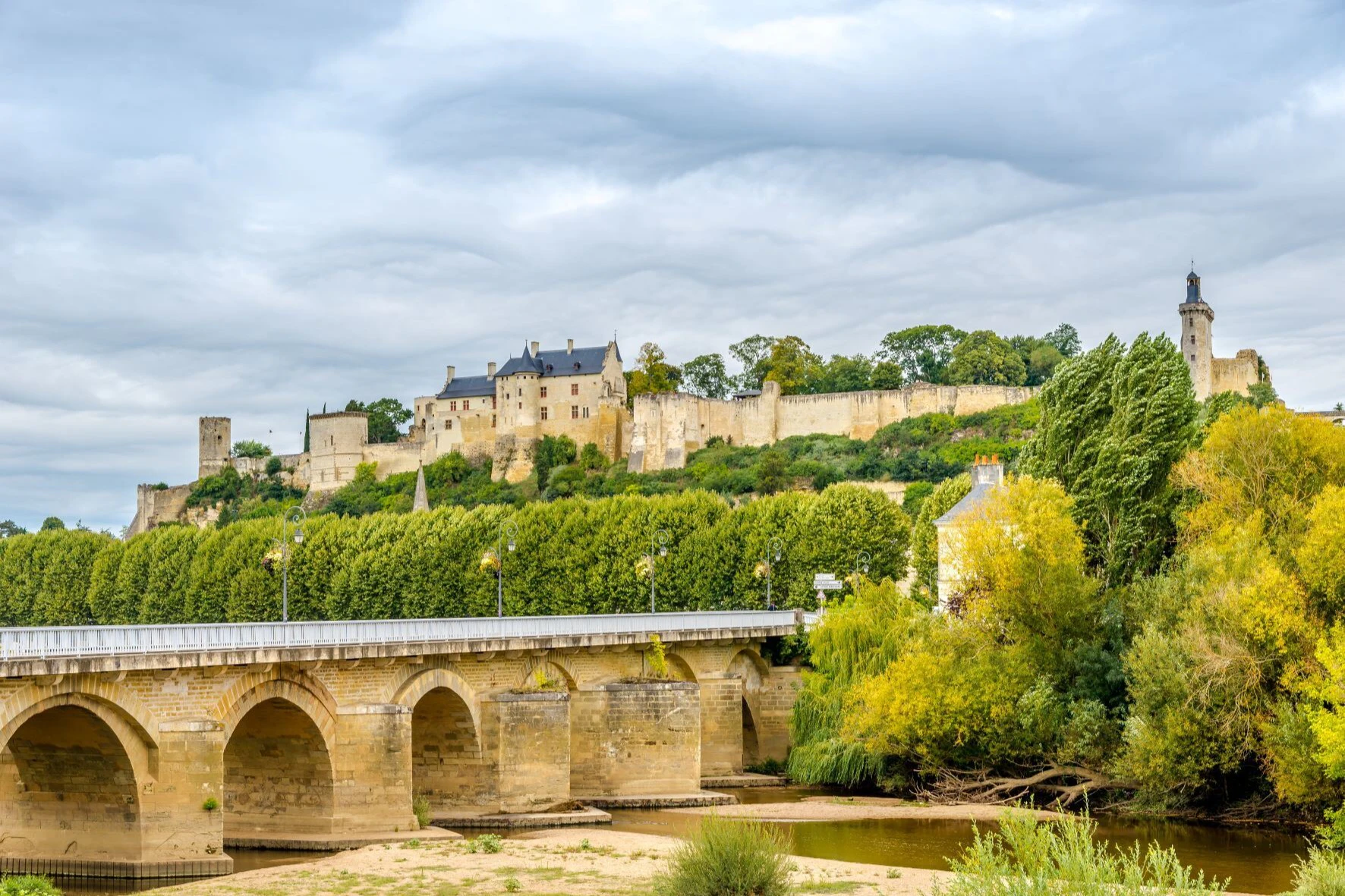 Loire Valley: Guided Chinon & Bourgueil Vineyards Tour from Tours + Wine Tasting