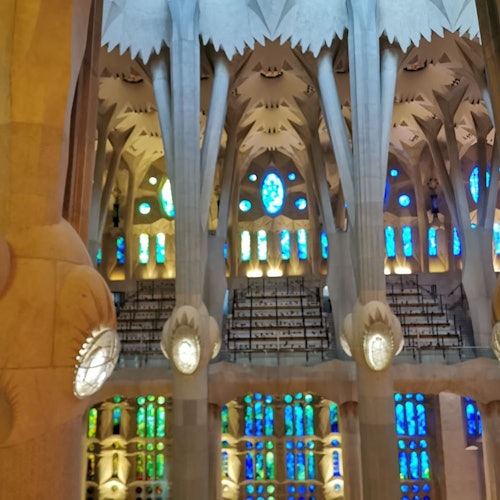 Sagrada Familia: Visita guiada en francés