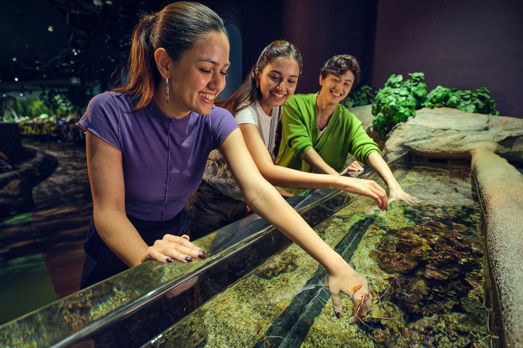 Singapore Oceanarium: Entry Ticket in Singapore – Tiqets