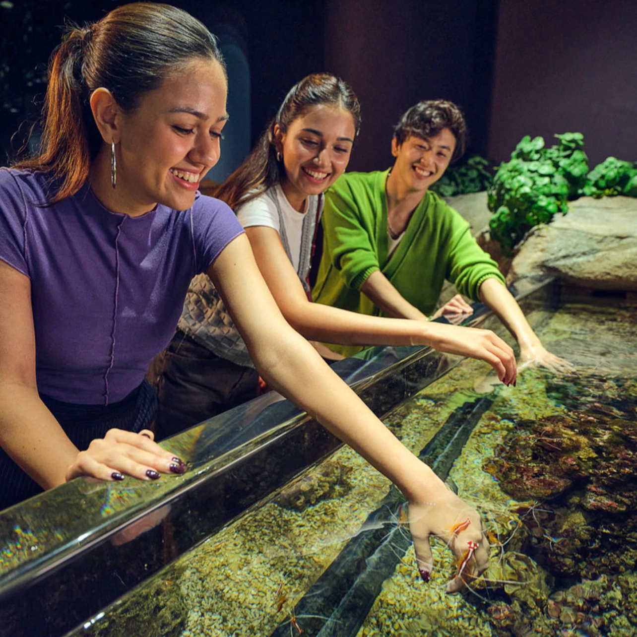 Singapore Oceanarium: Entry Ticket in Singapore β Tiqets