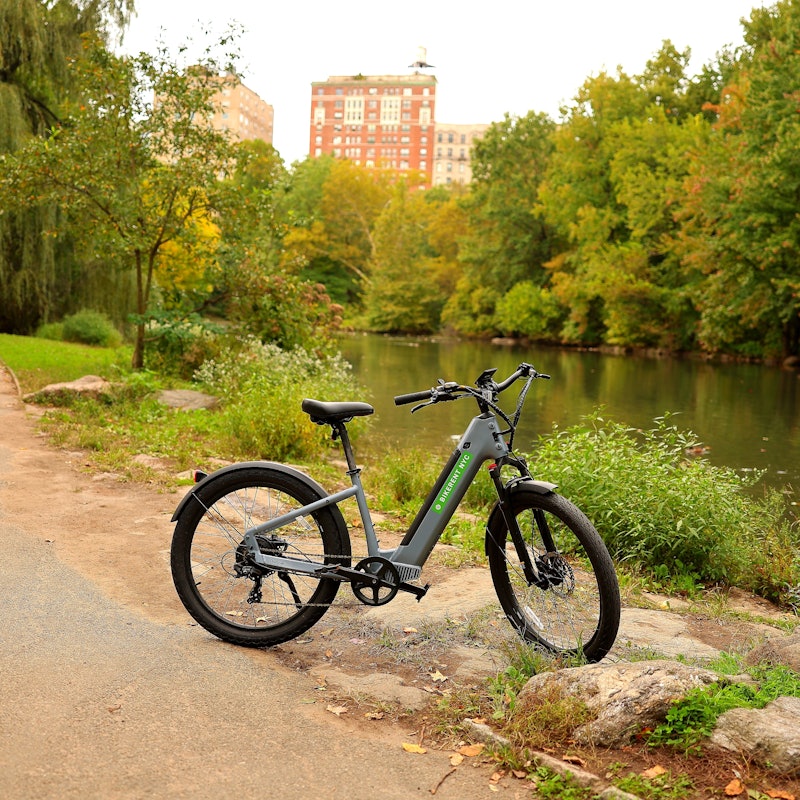 Electric bike rental central top park