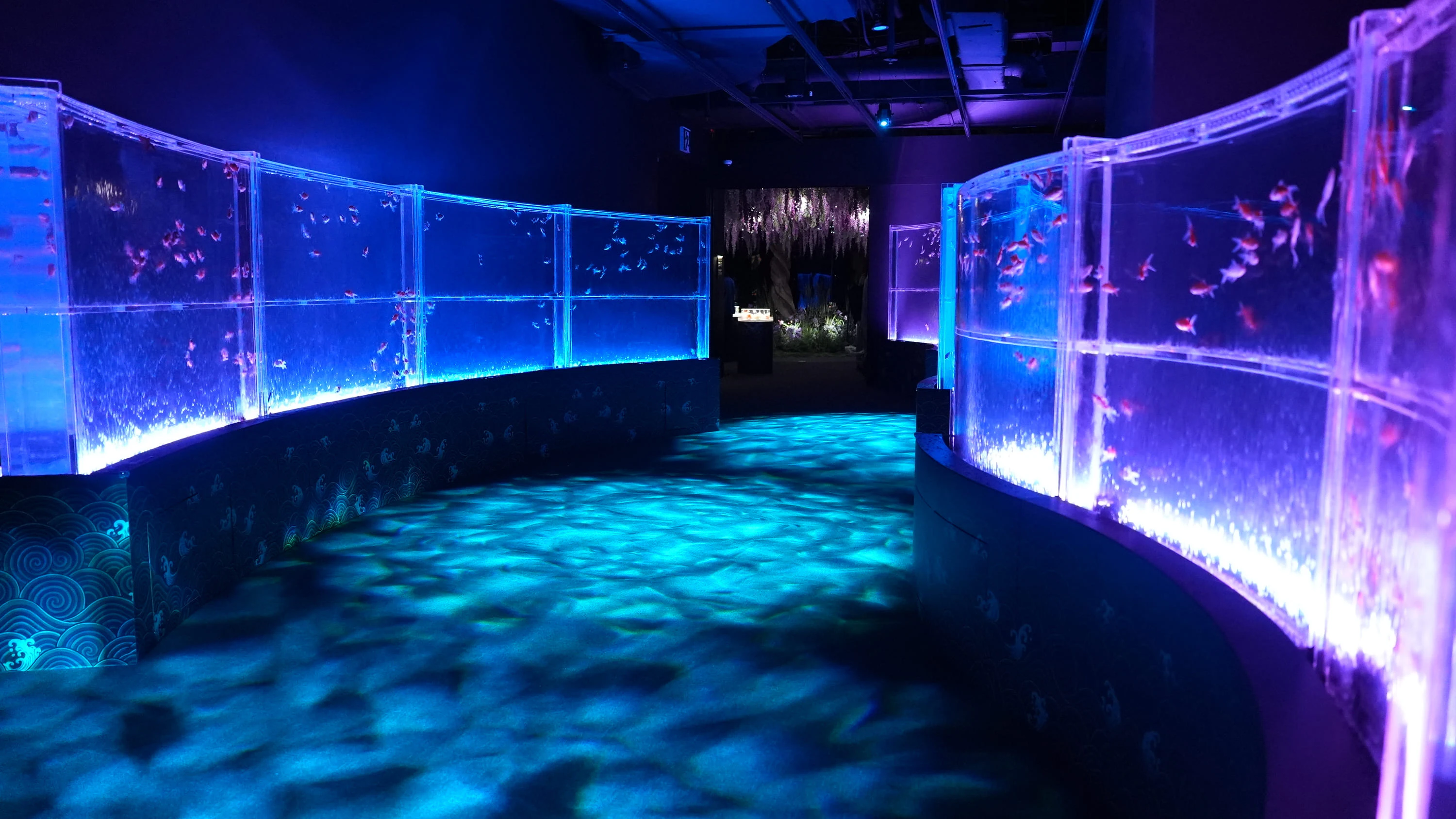 An indoor aquarium exhibit with illuminated fish tanks lining the walls, casting blue and purple light on the floor.