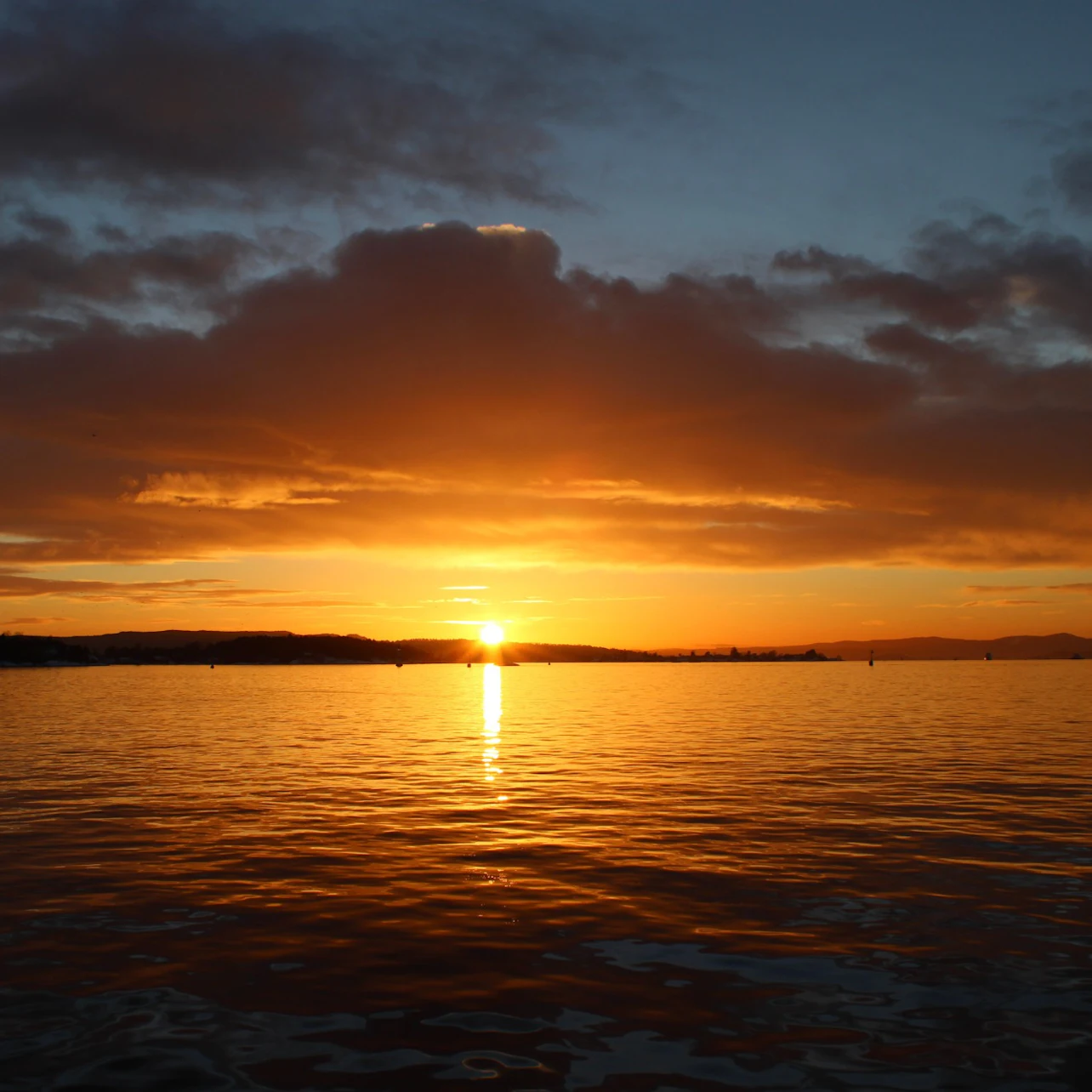 Oslofjord Sightseeing Yacht Cruise in Oslo β Tiqets