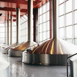 Stora bryggtankar i rostfritt stål kantar golvet i ett rymligt, industriellt rum med stora fönster och röda takbjälkar.