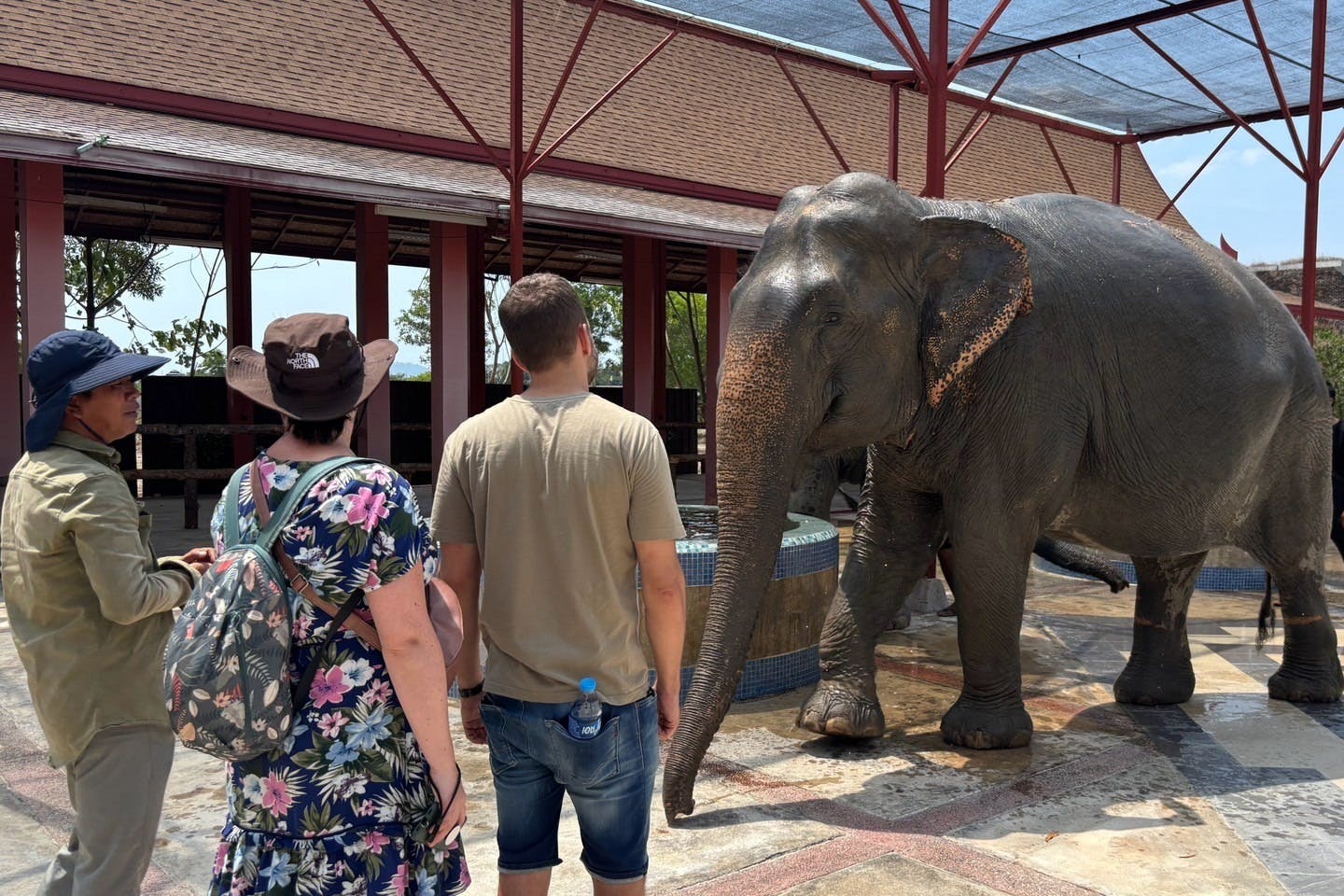 三个人，两个戴着帽子，一个穿着T恤，站在一个被覆盖的区域，靠近一头大象，后面有一些树。