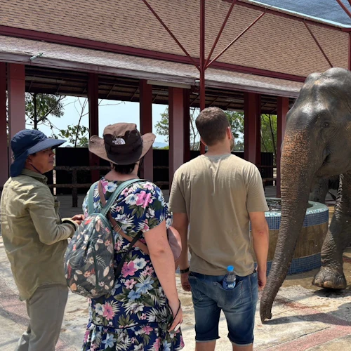 Freedom Elephant Reserve Phuket: Entry + Feeding Experience - Photo 8