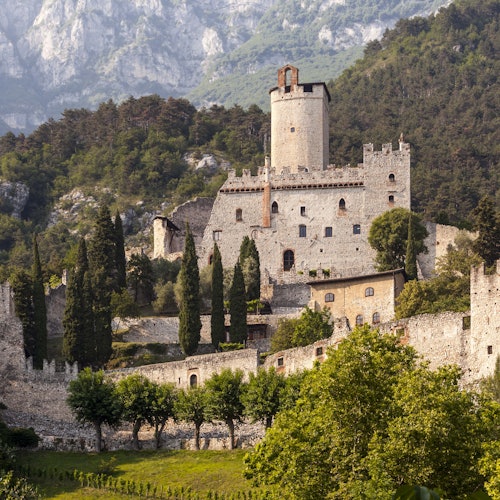 A medieval castle with tall trees and stone walls surrounded by lush greenery and forested hills in the background.