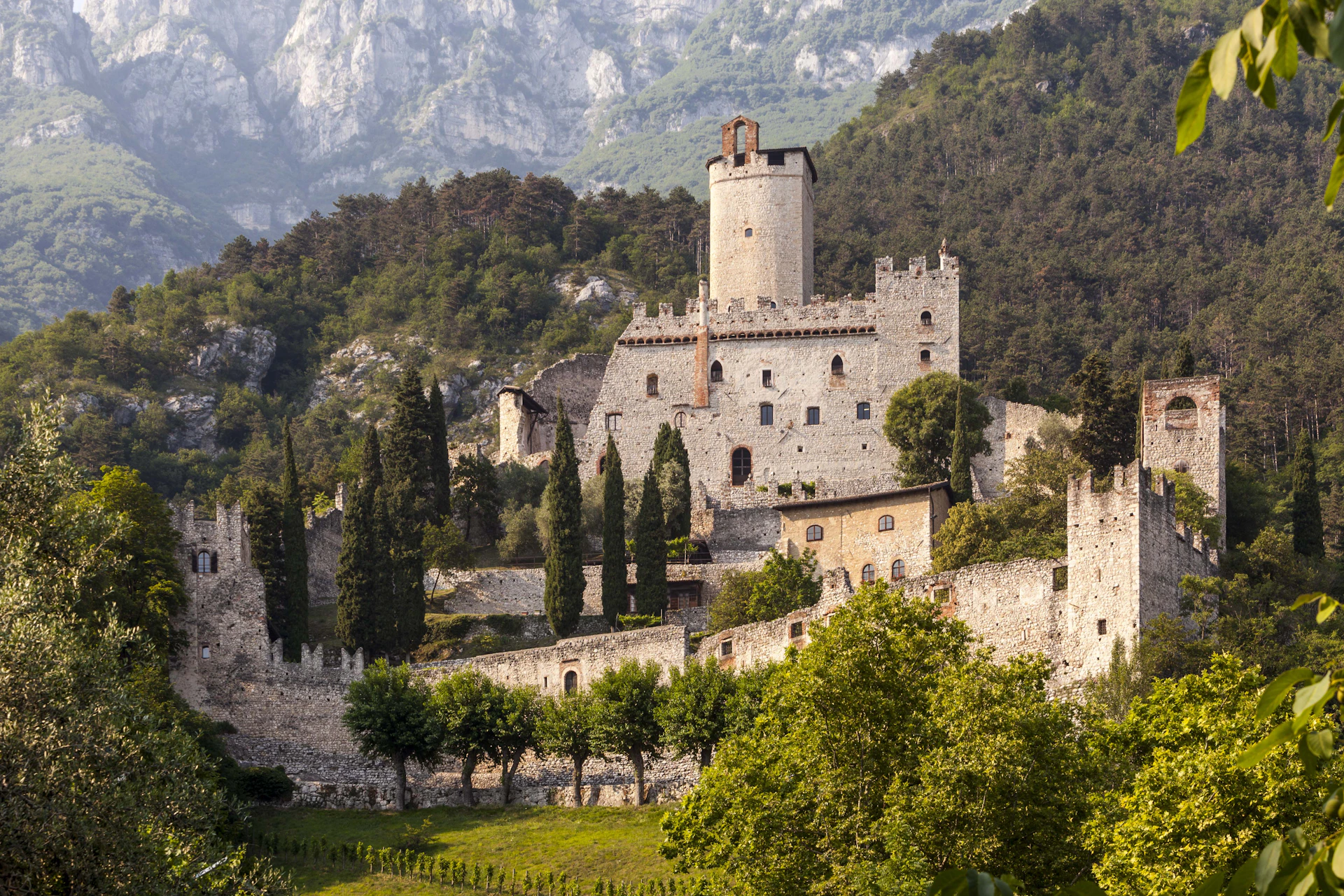A medieval castle with tall trees and stone walls surrounded by lush greenery and forested hills in the background.