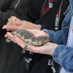 Gorge Wildlife Park: Entry Ticket 4
