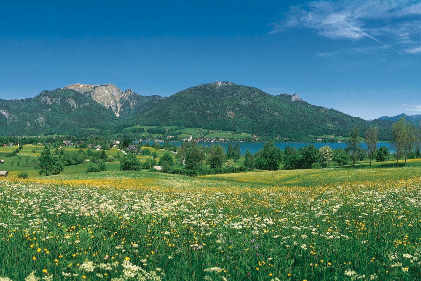 Panaroma Tours Tour originale di Sound of Music