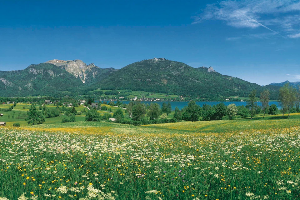 Panaroma Tours Original Sound of Music Tour®