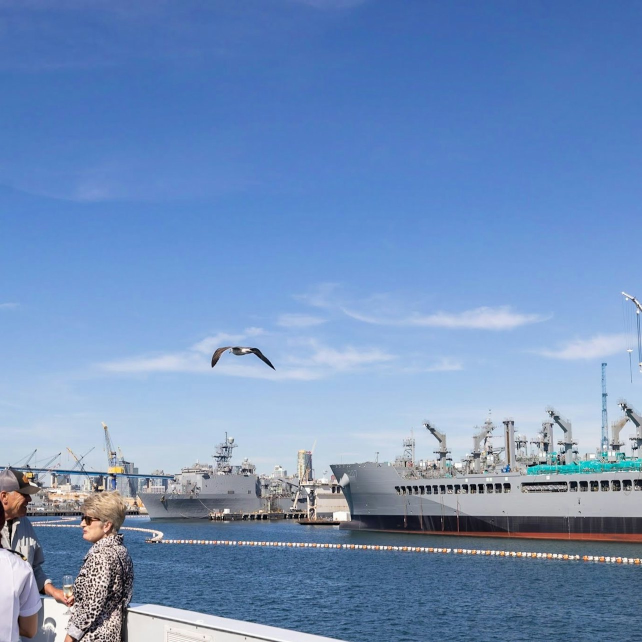 Puerto de San Diego: Crucero de 2 horas con guía en directo - Alojamientos en San Diego