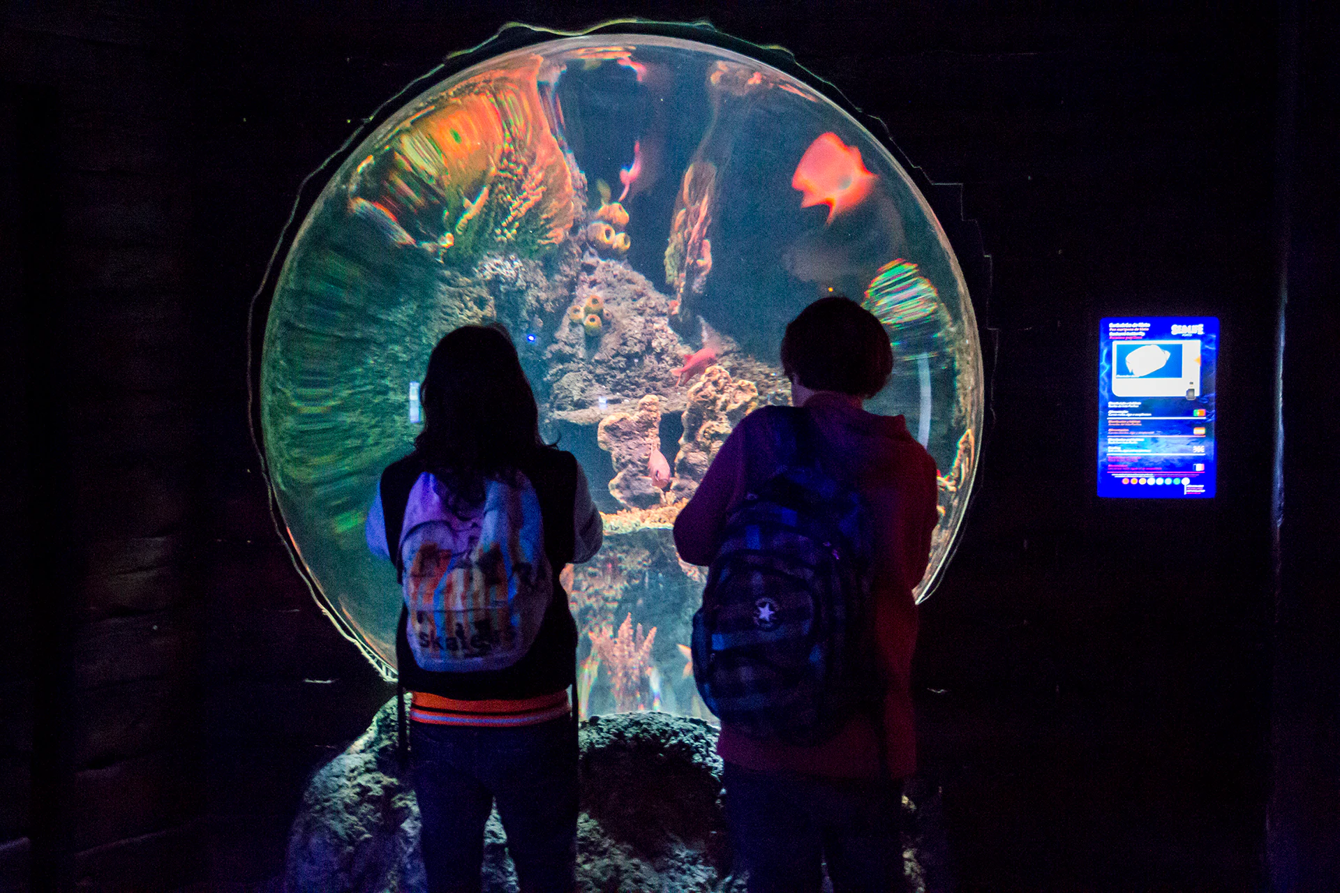 Zoo Santo Inacio + Sea Life Porto Pass