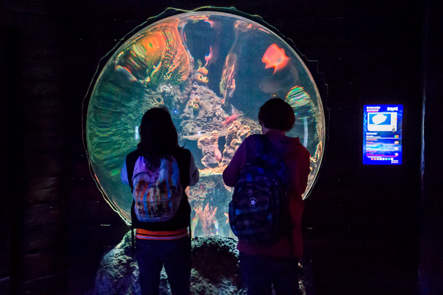海洋生物波爾圖門票