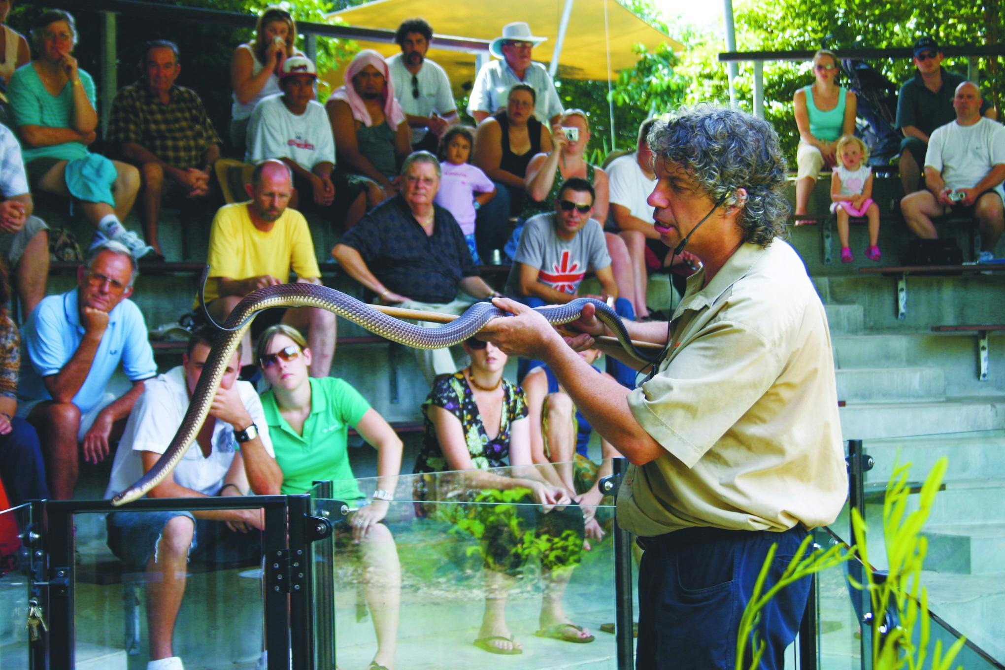 屋外の円形劇場に座っている観客に、ヘビを抱えたプレゼンターが話しかけています。