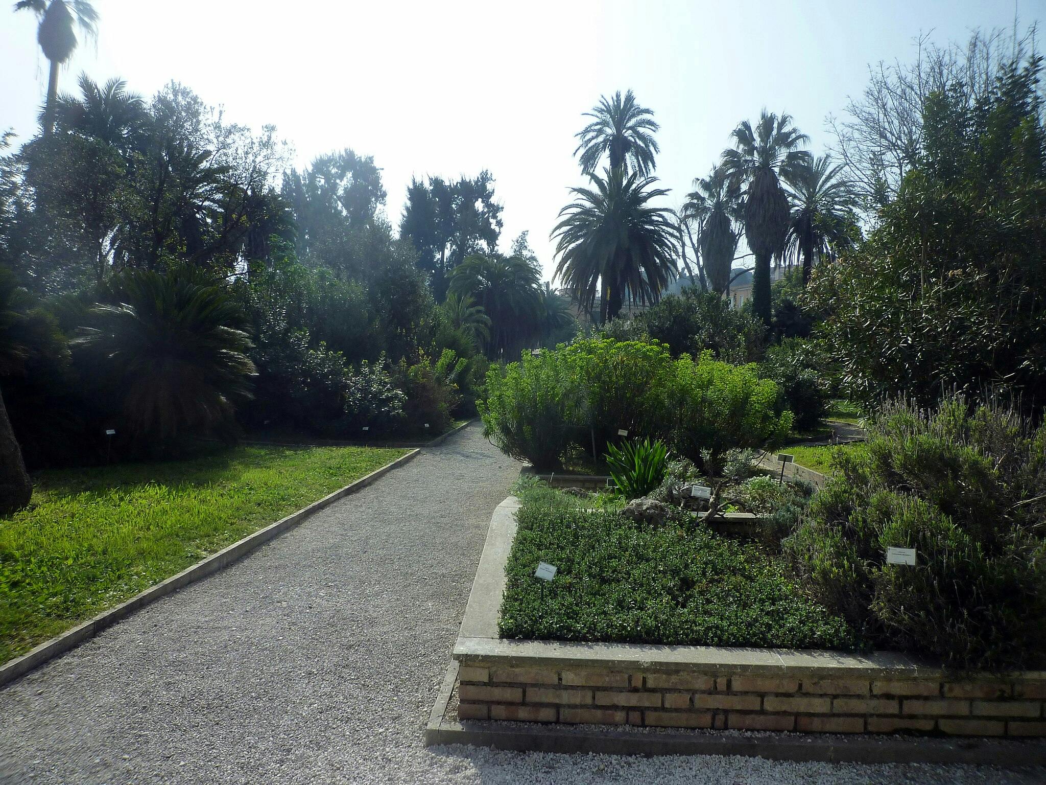 Cose da fare a <City 71631> #4: Orto Botanico di Roma