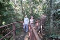 Khao Yai National Park trail