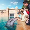 Atlantis The Palm - doświadczenia z delfinami