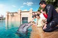 Atlantis The Palm: experiències amb dofins