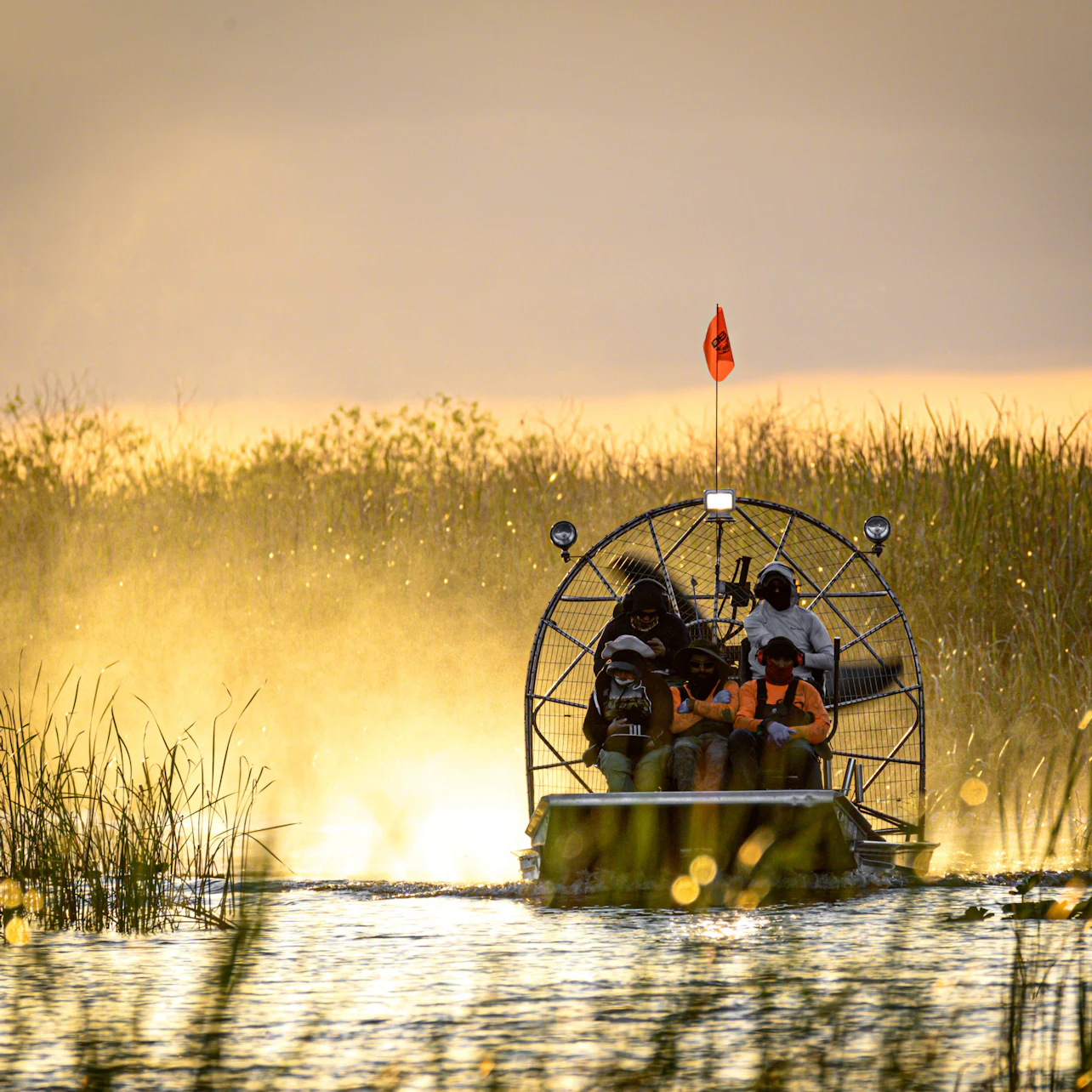 Fort Lauderdale: 40-Min Everglades Airboat Ride & Animal Sanctuary Entry in Fort Lauderdale β Tiqets