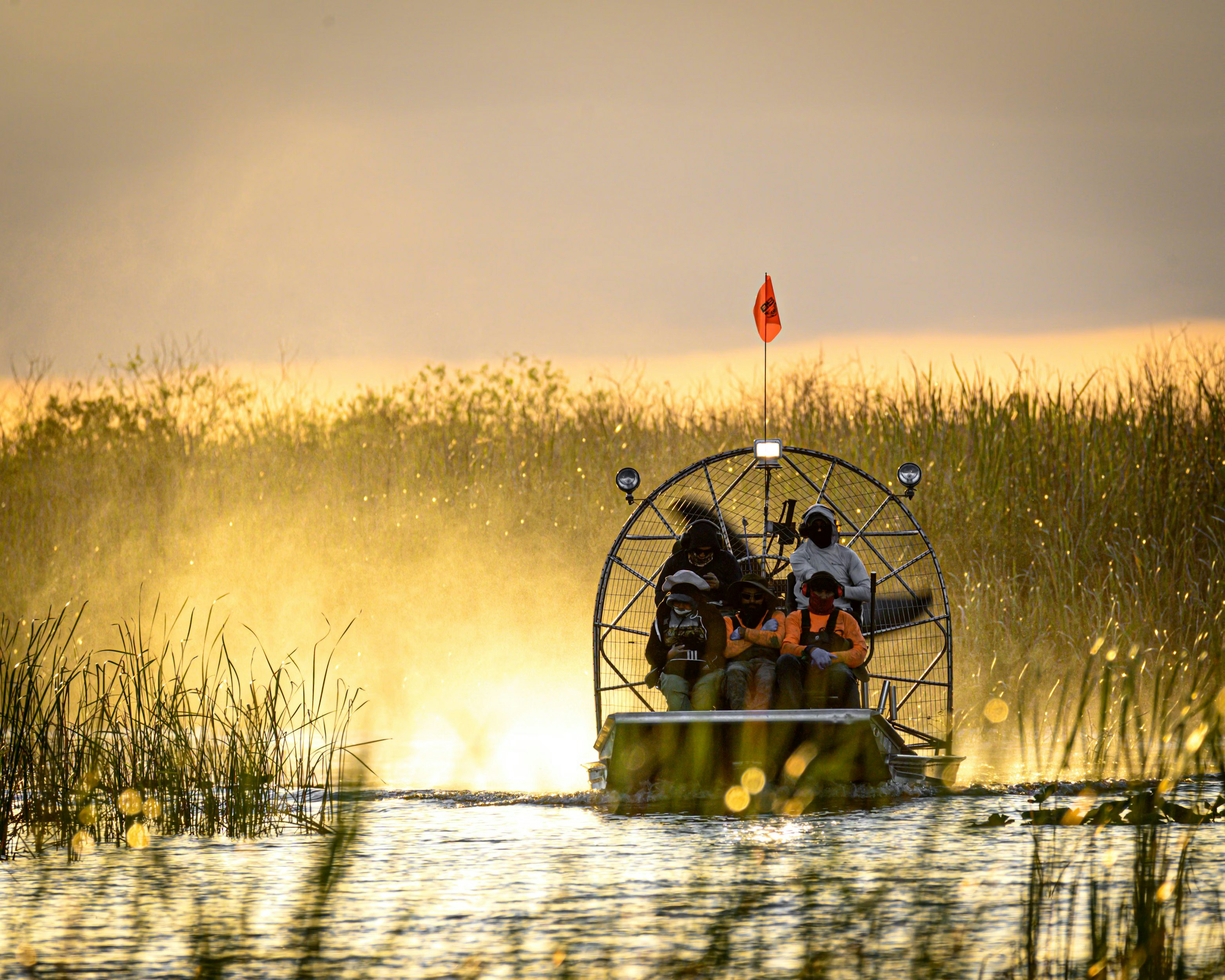 Fort Lauderdale 40 minutos de paseo en hidrodeslizador por los Everglades y entrada al santuario de animales