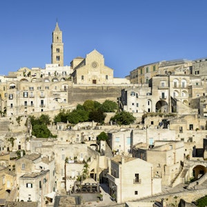 No image description available