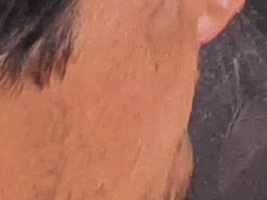 Benagil Caves & Praia da Marinha Boat Tour from Portimão