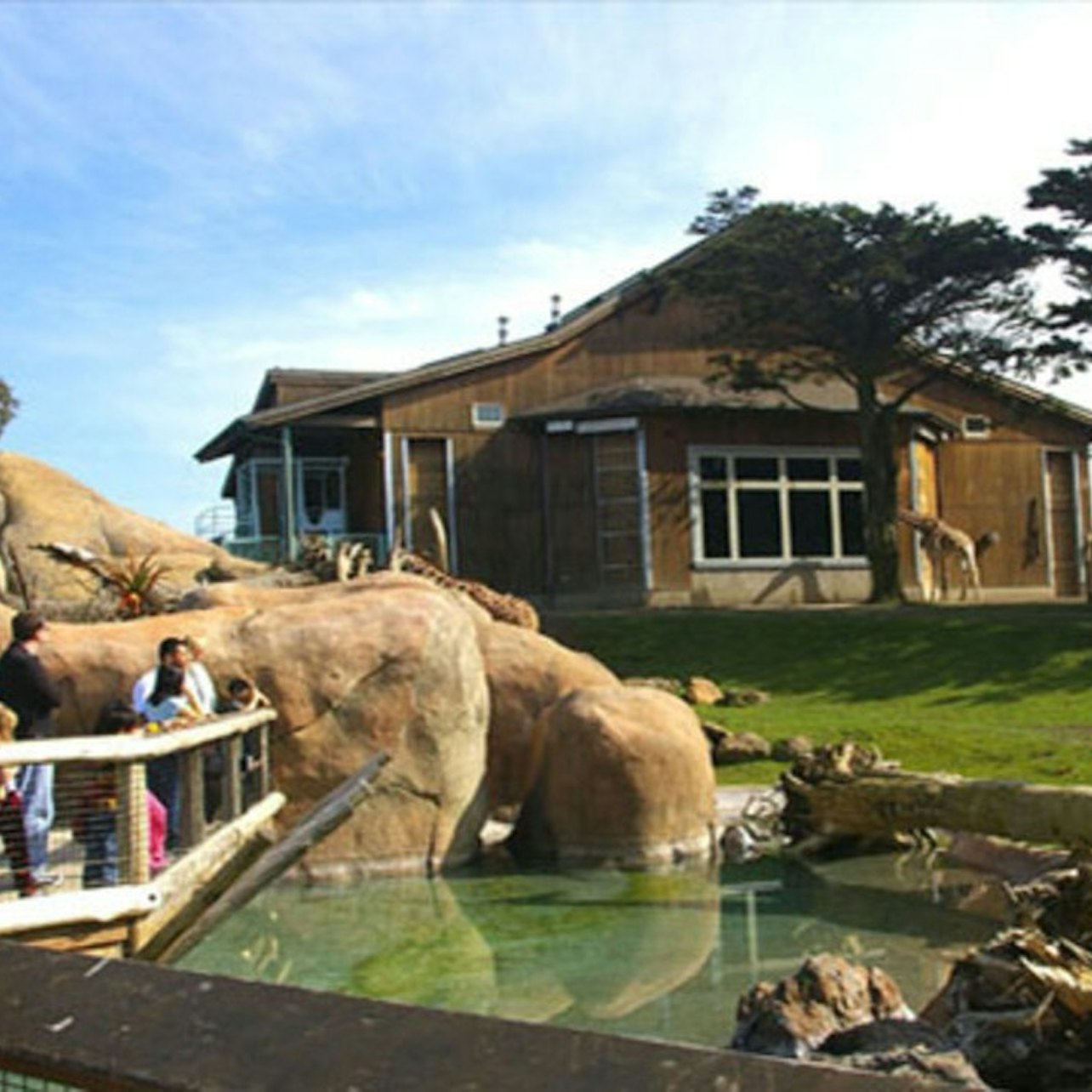 Zoo de San Francisco: Entrada - Alojamientos en San Francisco