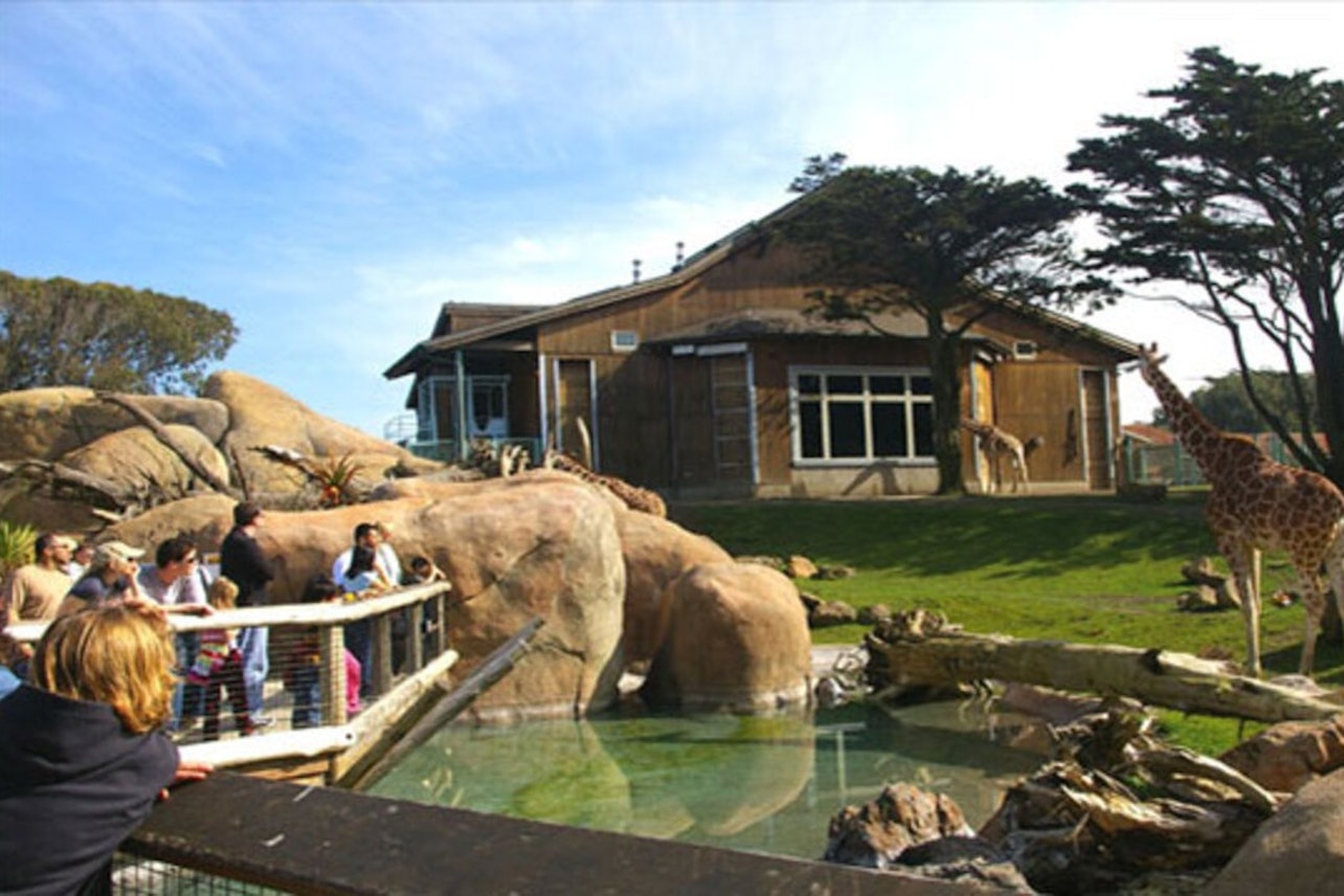 San Francisco Zoo: Entry Ticket - Accommodations in San Francisco