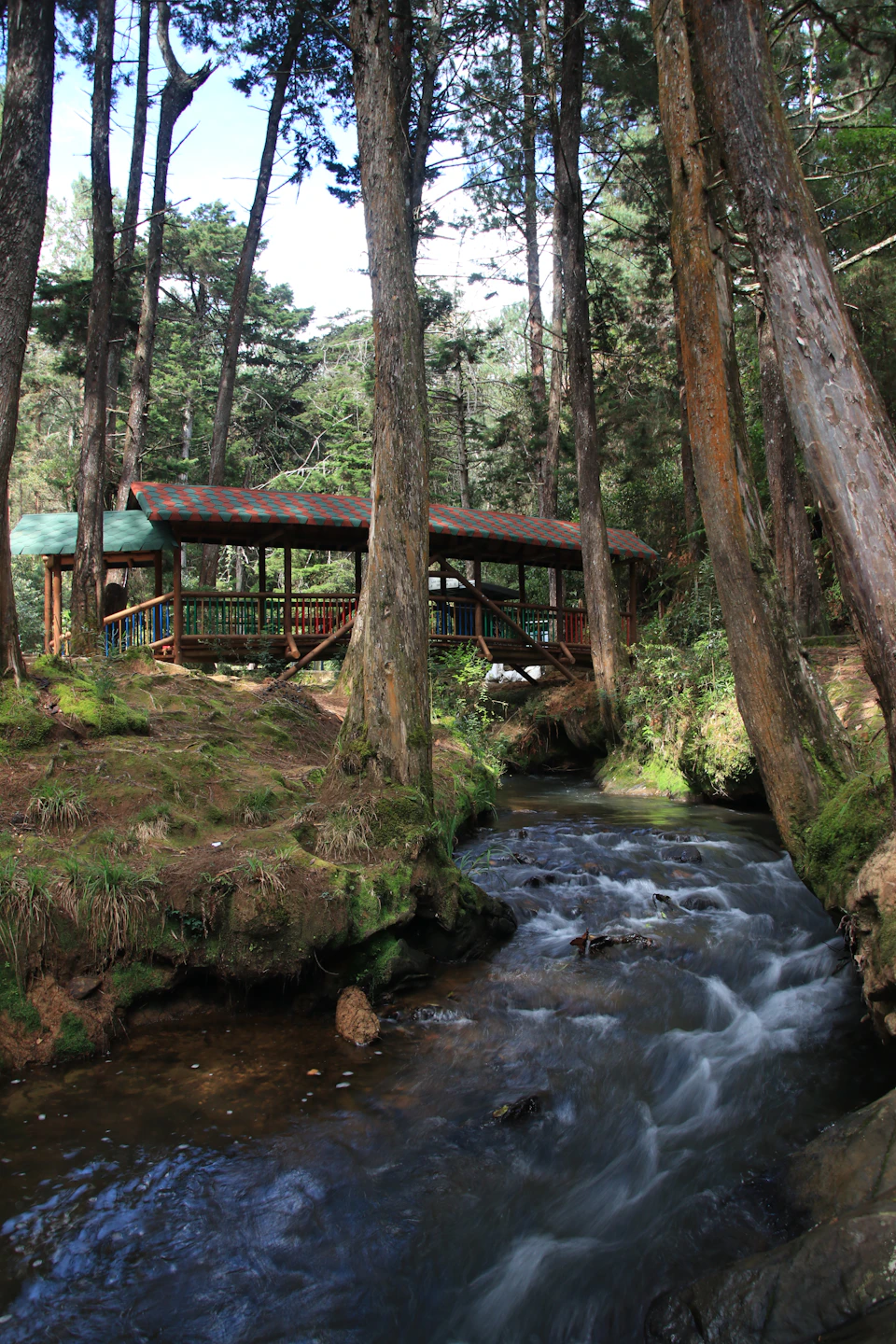 A small wooden cabin with a checkered roof is situated in a dense forest beside a flowing stream.