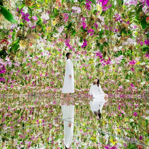 Tokyo Skytree & teamLab Planets: Bilhete de entrada - Photo 5