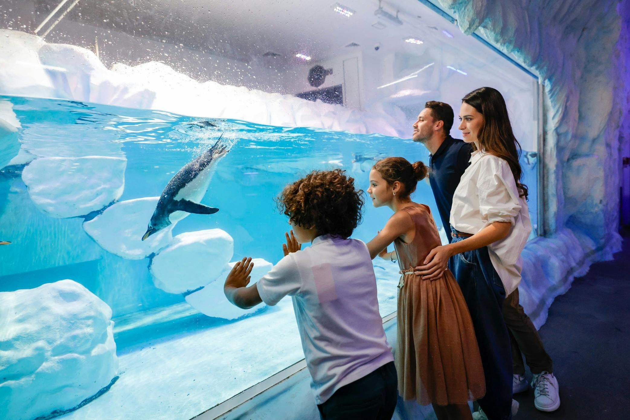 Dubai Aquarium & Underwater Zoo: Entry Ticket