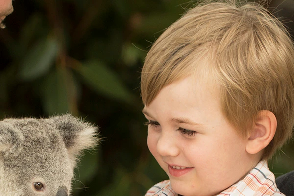 Oxenford diner met spectaculaire Australische Outback show