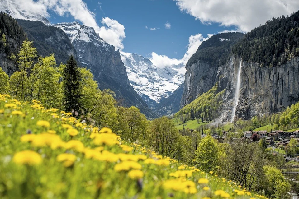 A scenic valley with yellow flowers in the foreground, a tall waterfall, and snowy mountains under a blue sky with clouds.