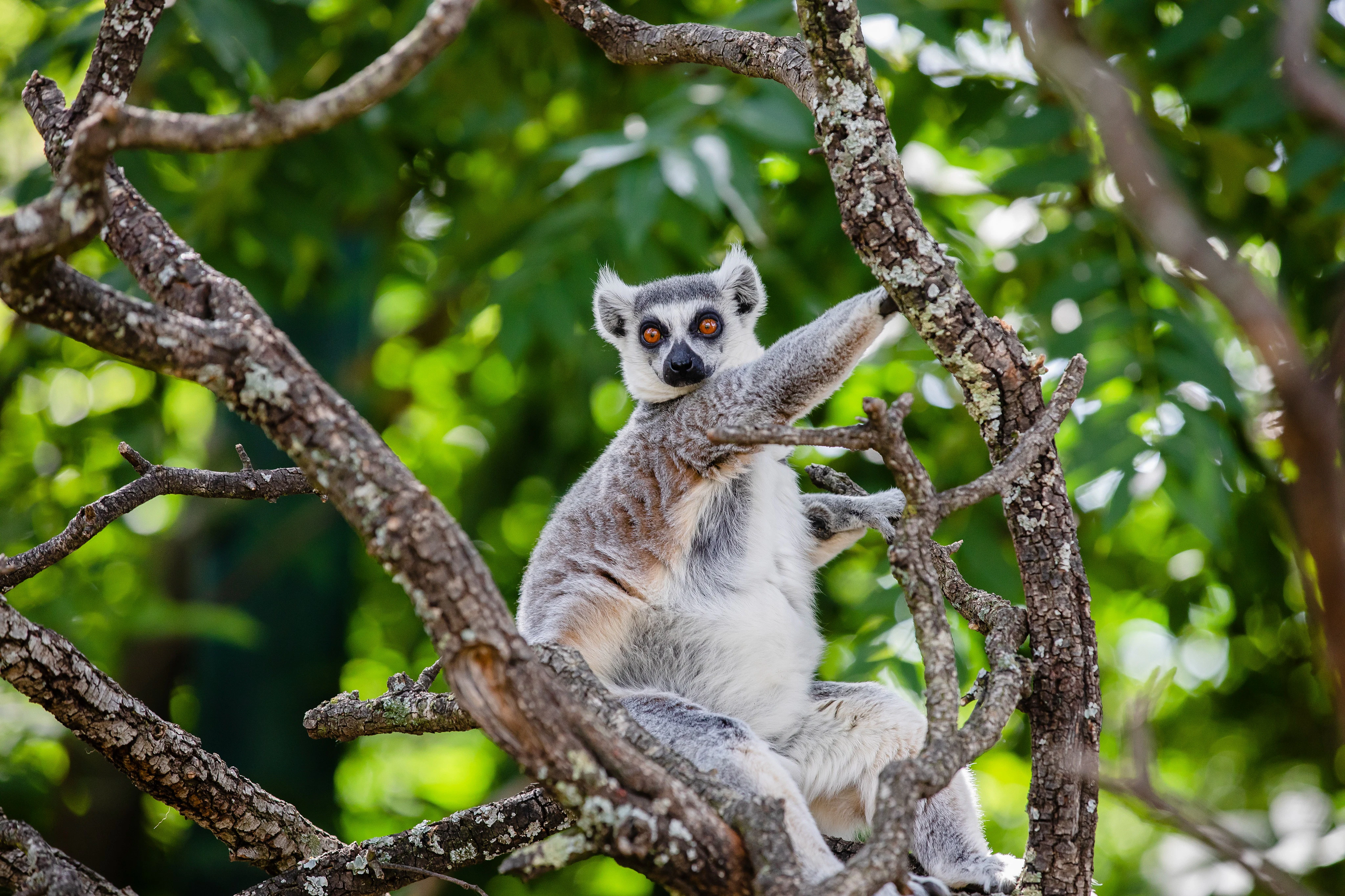Faunia Nature Park: Entry Ticket