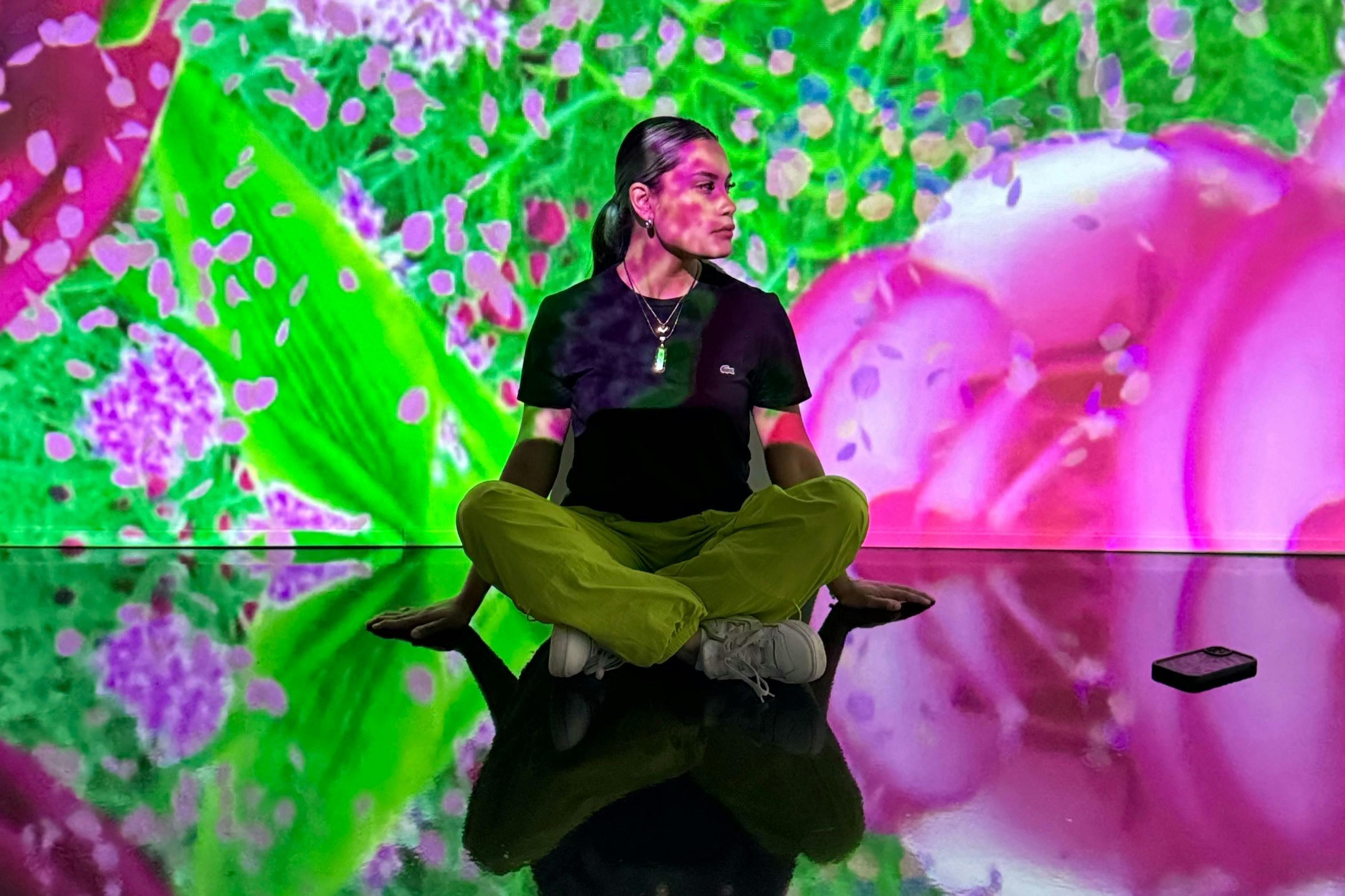 Reflections - Immersive Exhibit